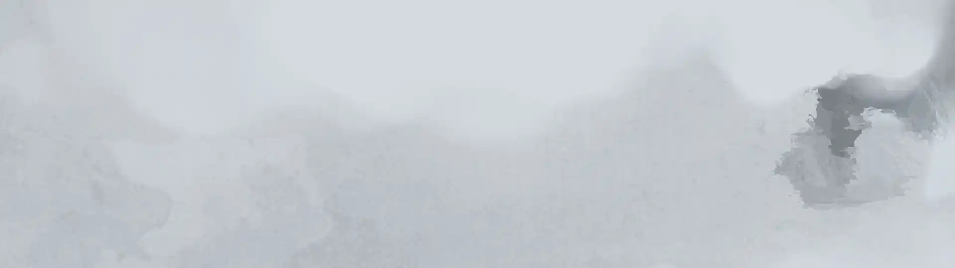 banner_sec1